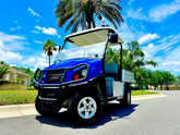 2018 Club Car CarryAll 500 Golf Cart for Sale image 0