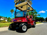 2005 ParCar Elite Eagle Golf Cart for Sale image 0