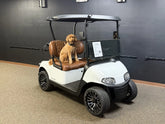 2020 E-Z-GO RXV Elite Lithium Golf Cart for Sale (White) image 0