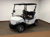 2026 Denago EV Scout 2 Passenger Golf Cart for Sale image 0