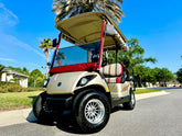 2012 Yamaha Drive G29 Golf Cart for Sale image 0