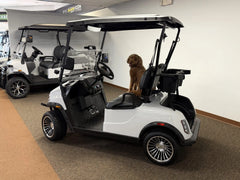 2026 Denago EV Scout 2 Passenger Golf Cart for Sale image 1