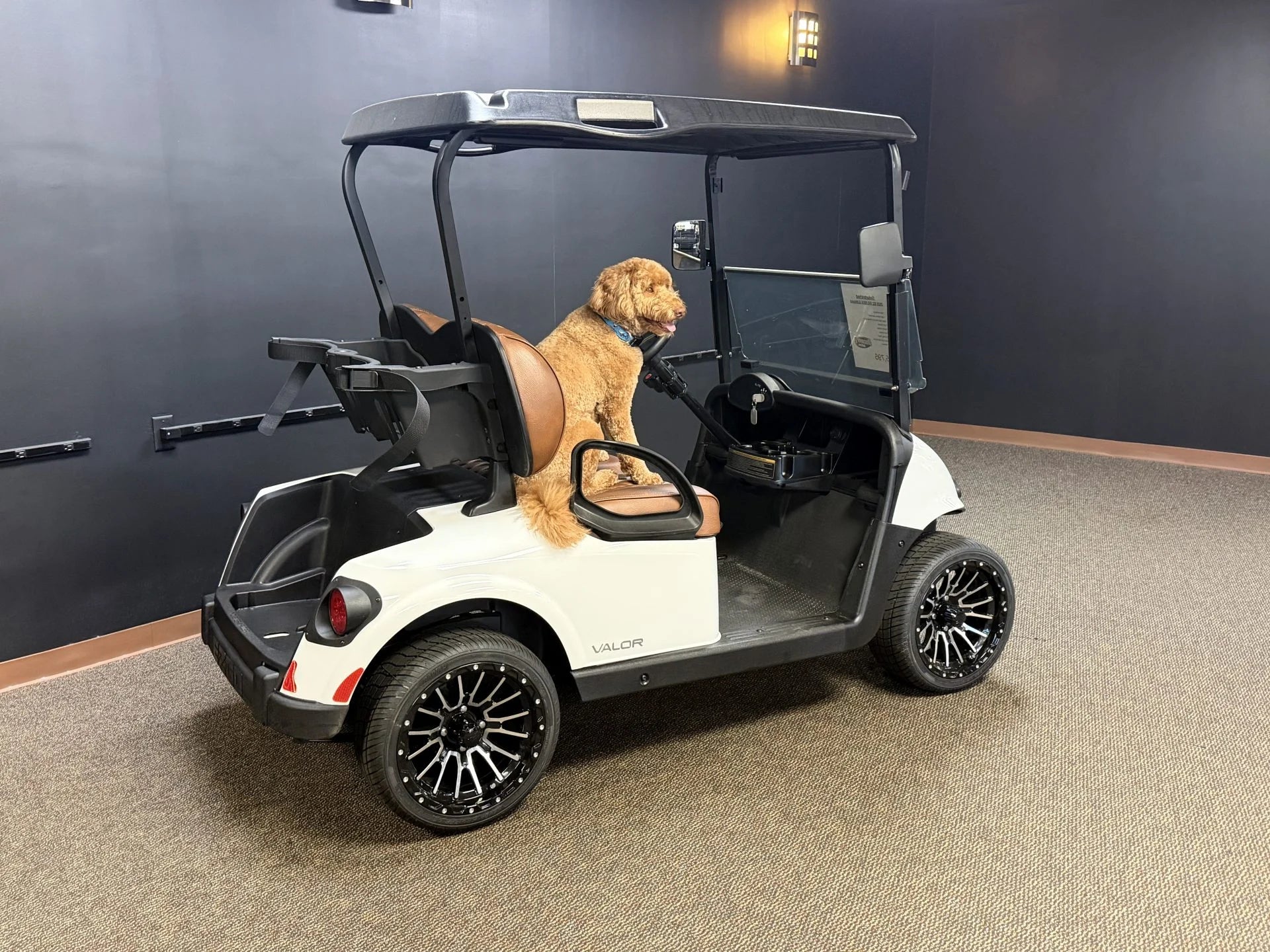 2020 E-Z-GO RXV Elite Lithium Golf Cart for Sale (White) image 1