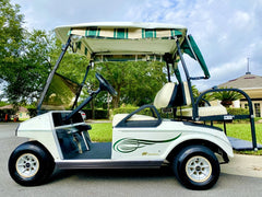 2010 Club Car DS 48V Golf Cart for Sale image 3