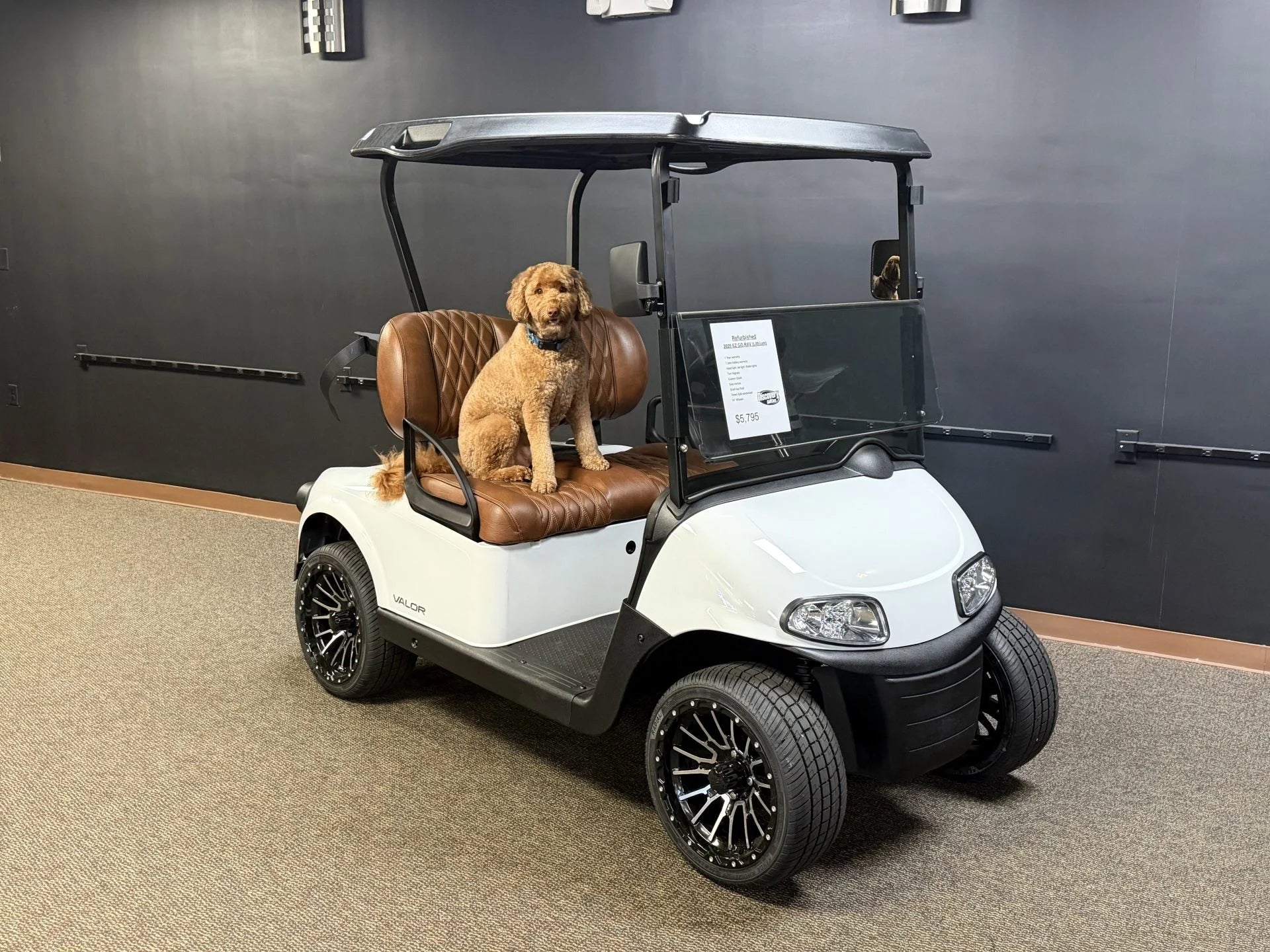 2020 E-Z-GO RXV Elite Lithium Golf Cart for Sale (White) image 0