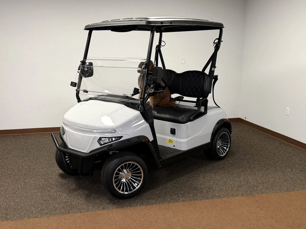 2026 Denago EV Scout 2 Passenger Golf Cart for Sale image 0